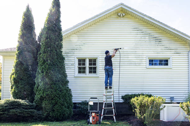 Why Choose Our Certified Pressure Washing Experts for Your Project Needs in Cheboygan, MI?